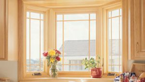 Bay Window Replacements