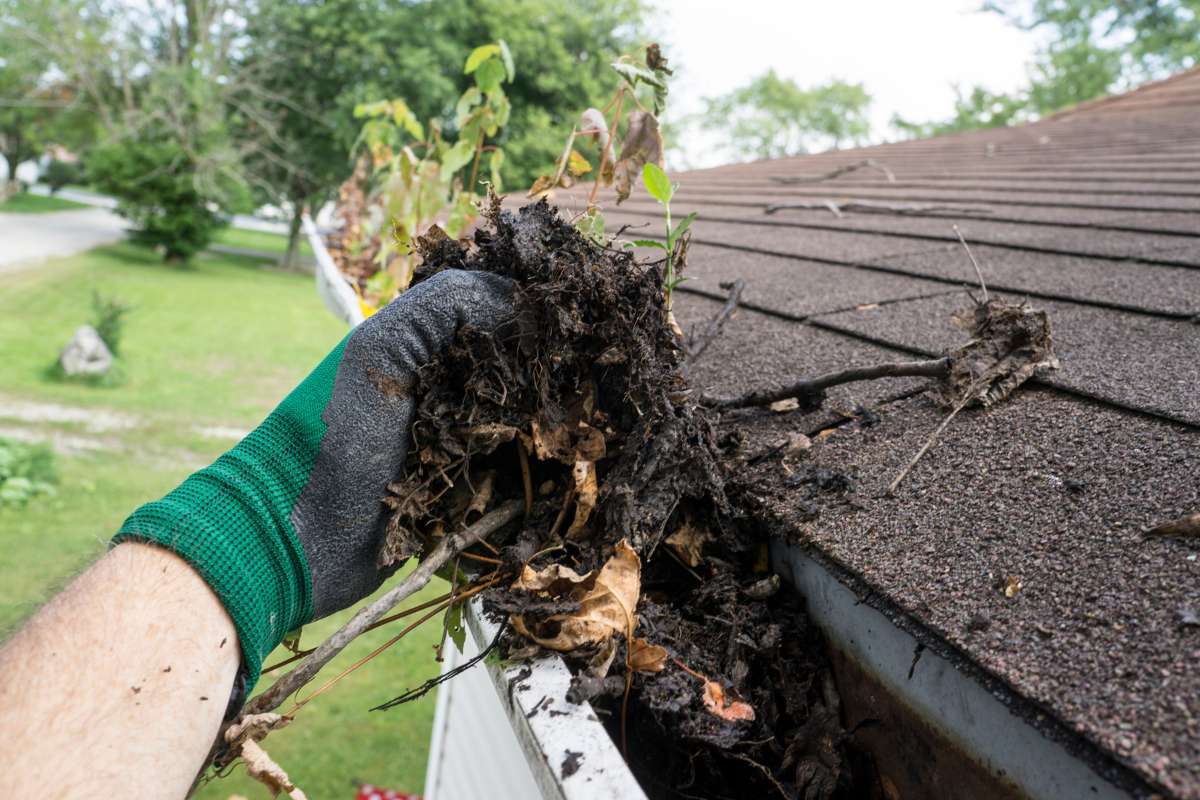 preventive roof maintenance practices